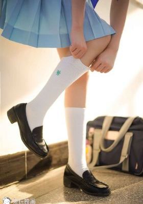啄木鸟满天星法版免费